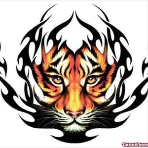 Skyline Tigers资料,Skyline Tigers最新歌曲,Skyline TigersMV视频,Skyline Tigers音乐专辑,Skyline Tigers好听的歌