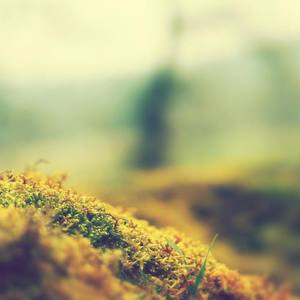 Zhr资料,Zhr最新歌曲,ZhrMV视频,Zhr音乐专辑,Zhr好听的歌