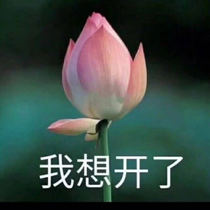 安安资料,安安最新歌曲,安安MV视频,安安音乐专辑,安安好听的歌