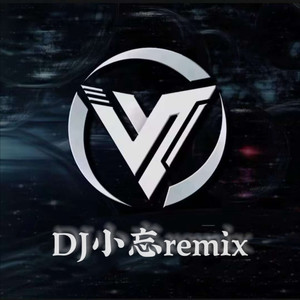 DJ小忘remix