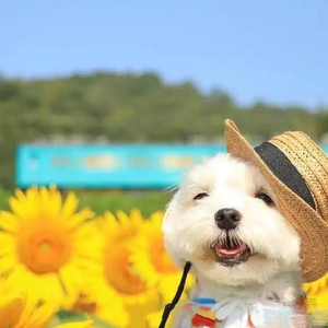 刚好的方方资料,刚好的方方最新歌曲,刚好的方方MV视频,刚好的方方音乐专辑,刚好的方方好听的歌