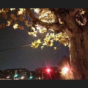 鼓油捞饭资料,鼓油捞饭最新歌曲,鼓油捞饭MV视频,鼓油捞饭音乐专辑,鼓油捞饭好听的歌