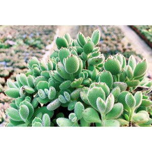 陶君然资料,陶君然最新歌曲,陶君然MV视频,陶君然音乐专辑,陶君然好听的歌