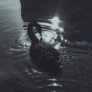 快乐宝贝 (40秒片段)