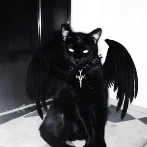 葡萄汁资料,葡萄汁最新歌曲,葡萄汁MV视频,葡萄汁音乐专辑,葡萄汁好听的歌