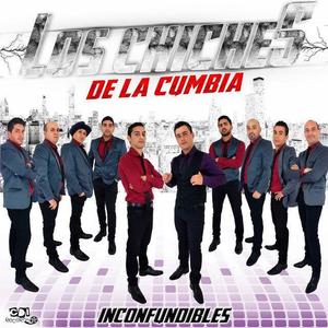 LOS CHICHES DE LA CUMBIA