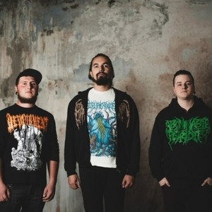 Decomposition of Entrails资料,Decomposition of Entrails最新歌曲,Decomposition of EntrailsMV视频,Decomposition of Entrails音乐专辑,Decomposition of Entrails好听的歌