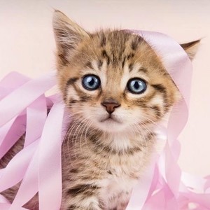 焂楠资料,焂楠最新歌曲,焂楠MV视频,焂楠音乐专辑,焂楠好听的歌