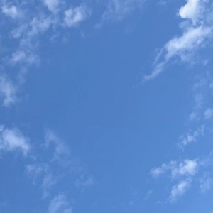 鹿资料,鹿最新歌曲,鹿MV视频,鹿音乐专辑,鹿好听的歌