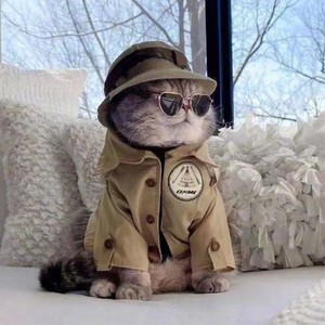 空心菜资料,空心菜最新歌曲,空心菜MV视频,空心菜音乐专辑,空心菜好听的歌