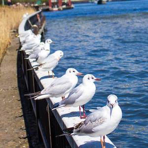 kumo资料,kumo最新歌曲,kumoMV视频,kumo音乐专辑,kumo好听的歌