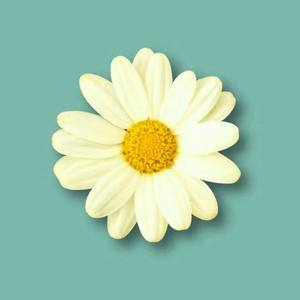 愿我的故事伴你们进入甜美的梦乡