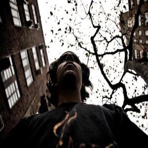 The Widdler资料,The Widdler最新歌曲,The WiddlerMV视频,The Widdler音乐专辑,The Widdler好听的歌