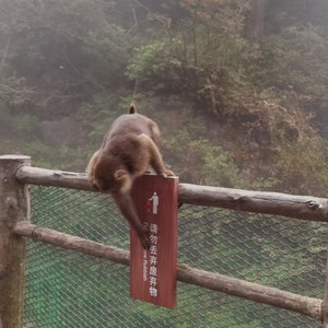 任桉易资料,任桉易最新歌曲,任桉易MV视频,任桉易音乐专辑,任桉易好听的歌