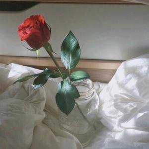 潇尹资料,潇尹最新歌曲,潇尹MV视频,潇尹音乐专辑,潇尹好听的歌