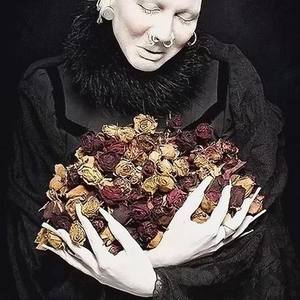 饼子 - 枪魂 (剑三天策)