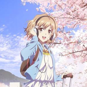 残影月资料,残影月最新歌曲,残影月MV视频,残影月音乐专辑,残影月好听的歌