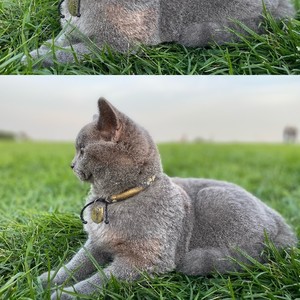 花伦公子-136程响-可能 (BlackSamurai.TNIKOTINO Bootleg)