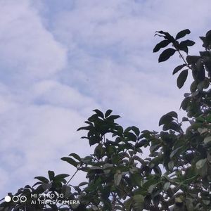 半岛铁盒资料,半岛铁盒最新歌曲,半岛铁盒MV视频,半岛铁盒音乐专辑,半岛铁盒好听的歌