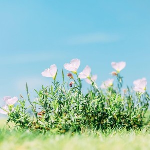 晴天资料,晴天最新歌曲,晴天MV视频,晴天音乐专辑,晴天好听的歌