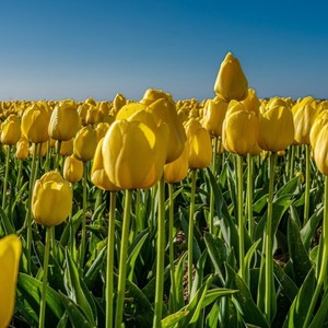 邹雨珊资料,邹雨珊最新歌曲,邹雨珊MV视频,邹雨珊音乐专辑,邹雨珊好听的歌