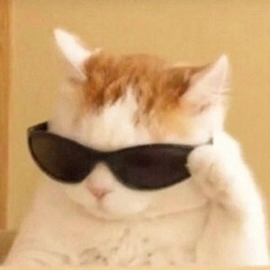 房间里开始下起雨