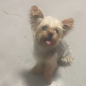 程颂庭资料,程颂庭最新歌曲,程颂庭MV视频,程颂庭音乐专辑,程颂庭好听的歌