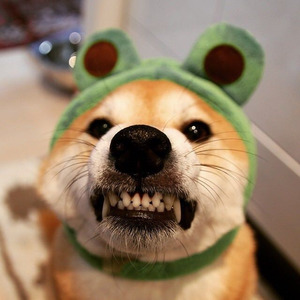 白文强资料,白文强最新歌曲,白文强MV视频,白文强音乐专辑,白文强好听的歌