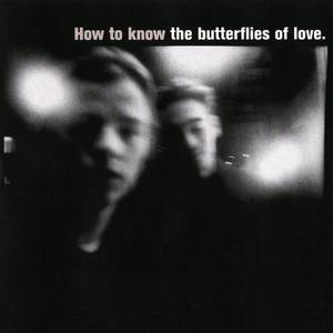 The Butterflies Of Love