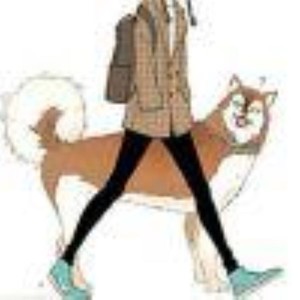 狗尾巴上不长草资料,狗尾巴上不长草最新歌曲,狗尾巴上不长草MV视频,狗尾巴上不长草音乐专辑,狗尾巴上不长草好听的歌