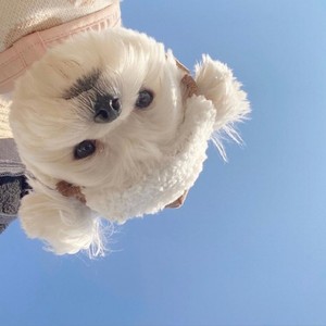 金觅WH资料,金觅WH最新歌曲,金觅WHMV视频,金觅WH音乐专辑,金觅WH好听的歌