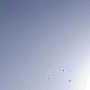 苏长清资料,苏长清最新歌曲,苏长清MV视频,苏长清音乐专辑,苏长清好听的歌