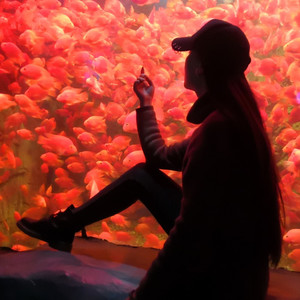 W忘c心资料,W忘c心最新歌曲,W忘c心MV视频,W忘c心音乐专辑,W忘c心好听的歌