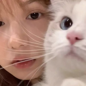 黑土不是土资料,黑土不是土最新歌曲,黑土不是土MV视频,黑土不是土音乐专辑,黑土不是土好听的歌