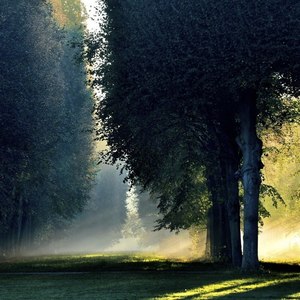 杰克资料,杰克最新歌曲,杰克MV视频,杰克音乐专辑,杰克好听的歌