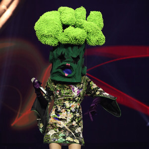 西兰花资料,西兰花最新歌曲,西兰花MV视频,西兰花音乐专辑,西兰花好听的歌