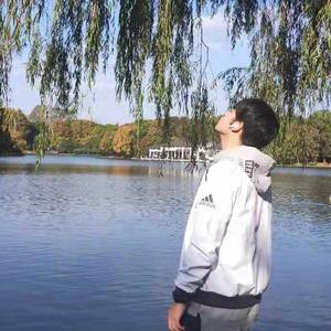 北极星的眼泪 (COVER版)