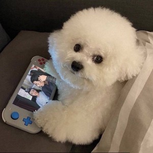 TIDAL.资料,TIDAL.最新歌曲,TIDAL.MV视频,TIDAL.音乐专辑,TIDAL.好听的歌