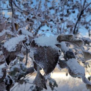 杨先森资料,杨先森最新歌曲,杨先森MV视频,杨先森音乐专辑,杨先森好听的歌