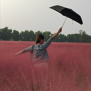 英丽资料,英丽最新歌曲,英丽MV视频,英丽音乐专辑,英丽好听的歌