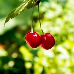 吴飞资料,吴飞最新歌曲,吴飞MV视频,吴飞音乐专辑,吴飞好听的歌