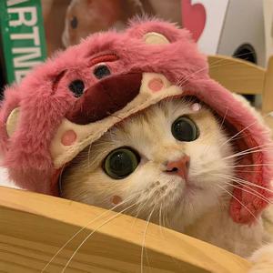 苏小夜资料,苏小夜最新歌曲,苏小夜MV视频,苏小夜音乐专辑,苏小夜好听的歌