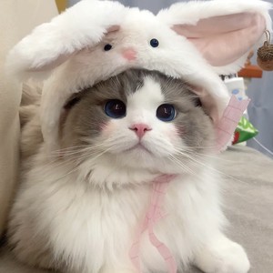 是你的翊萌资料,是你的翊萌最新歌曲,是你的翊萌MV视频,是你的翊萌音乐专辑,是你的翊萌好听的歌