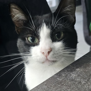 yatashigang资料,yatashigang最新歌曲,yatashigangMV视频,yatashigang音乐专辑,yatashigang好听的歌