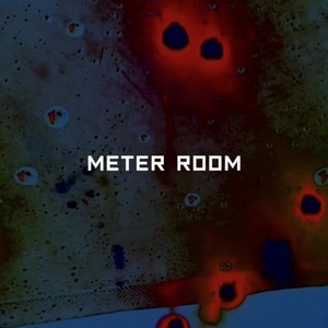 METER ROOM资料,METER ROOM最新歌曲,METER ROOMMV视频,METER ROOM音乐专辑,METER ROOM好听的歌