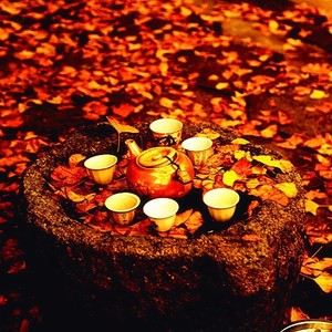 弦弹月下资料,弦弹月下最新歌曲,弦弹月下MV视频,弦弹月下音乐专辑,弦弹月下好听的歌