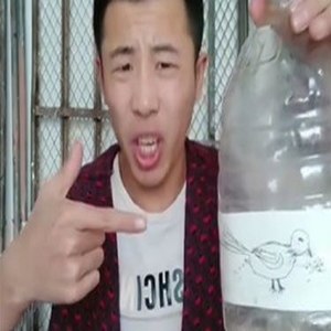 小鸟伏特加资料,小鸟伏特加最新歌曲,小鸟伏特加MV视频,小鸟伏特加音乐专辑,小鸟伏特加好听的歌