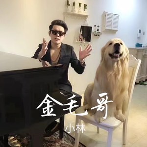 金毛哥—小林资料,金毛哥—小林最新歌曲,金毛哥—小林MV视频,金毛哥—小林音乐专辑,金毛哥—小林好听的歌