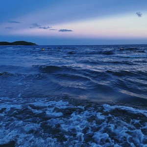 Cannai秋资料,Cannai秋最新歌曲,Cannai秋MV视频,Cannai秋音乐专辑,Cannai秋好听的歌