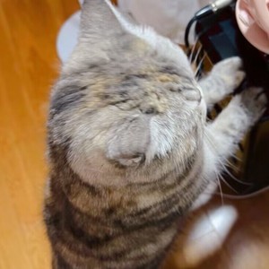 芽风资料,芽风最新歌曲,芽风MV视频,芽风音乐专辑,芽风好听的歌